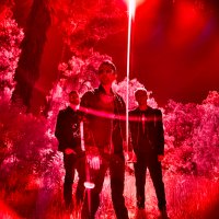 Muse artist image