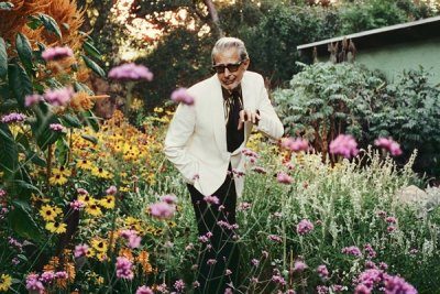 Jeff Goldblum Releases New 'Night Blooms' Single Mean To Me Featuring Dodie thumbnail