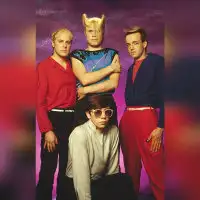 A Flock Of Seagulls artist image