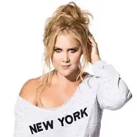 Amy Schumer artist image