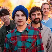 Animal Collective artist image