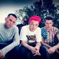 Animal Music artist image