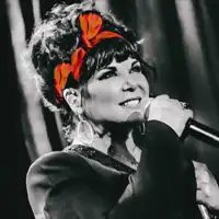 Ann Wilson artist image