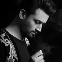 Atif Aslam artist image