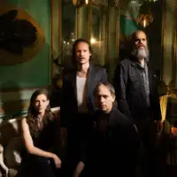 Baroness artist image