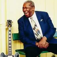 BB King artist image