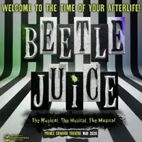 Beetlejuice artist image