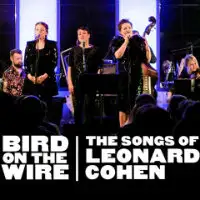 Bird On The Wire