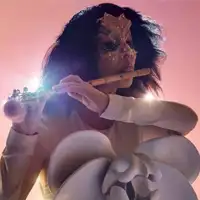Bjork artist image