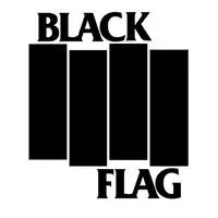 Black Flag artist image