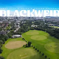 Blackweir Live artist image