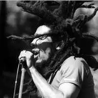Bob Marley artist image