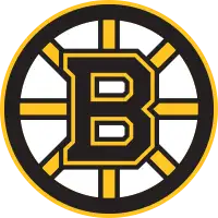 Boston Bruins artist image