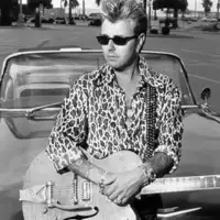 Brian Setzer Orchestra artist image