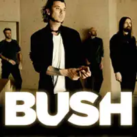 Bush artist image