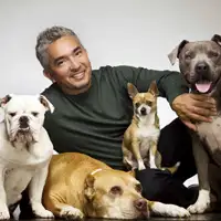 Cesar Millan artist image