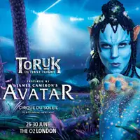Cirque du Soleil TORUK artist image
