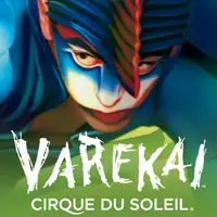Cirque Du Soleil Varekai artist image