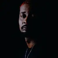Danny Brown artist image