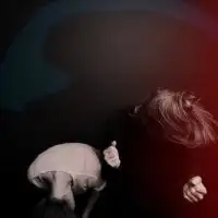 darkDARK artist image