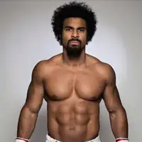 David Haye artist image