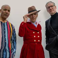 Dexys artist image
