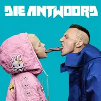 Die Antwoord artist image