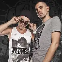 Dimitri Vegas And Like Mike artist image