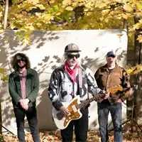 Dinosaur Jr artist image