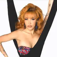 Doja Cat artist image