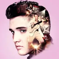 Elvis Evolution artist image