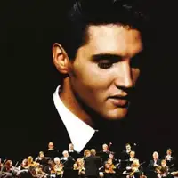 Elvis In Concert artist image