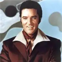 Elvis Presley artist image