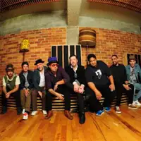 Fat Freddys Drop artist image