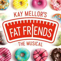 Fat Friends artist image