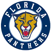 Florida Panthers artist image