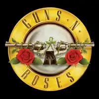 Guns N Roses artist image