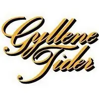 Gyllene Tider artist image