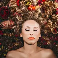 Haley Reinhart artist image