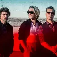 Hanson artist image