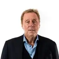Harry Redknapp artist image