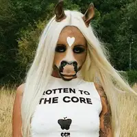 Horsegiirl artist image