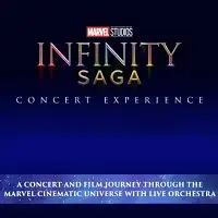 Infinity Saga Concert Experience tour image