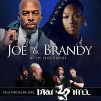 Joe and Brandy artist image