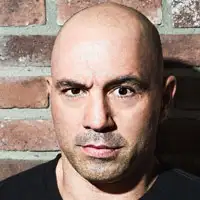 Joe Rogan artist image