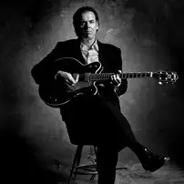 John Hiatt artist image