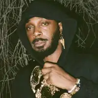 JPEGMAFIA artist image