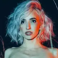 Lights artist image