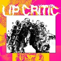 Lip Critic