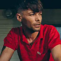 Louis Tomlinson artist image